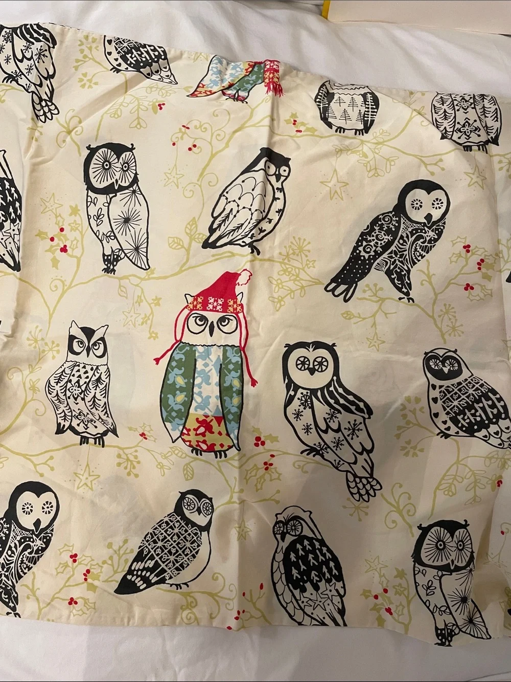 Vintage Garnet Hill: Night Owl Sateen queen flat sheet & pillowcase.